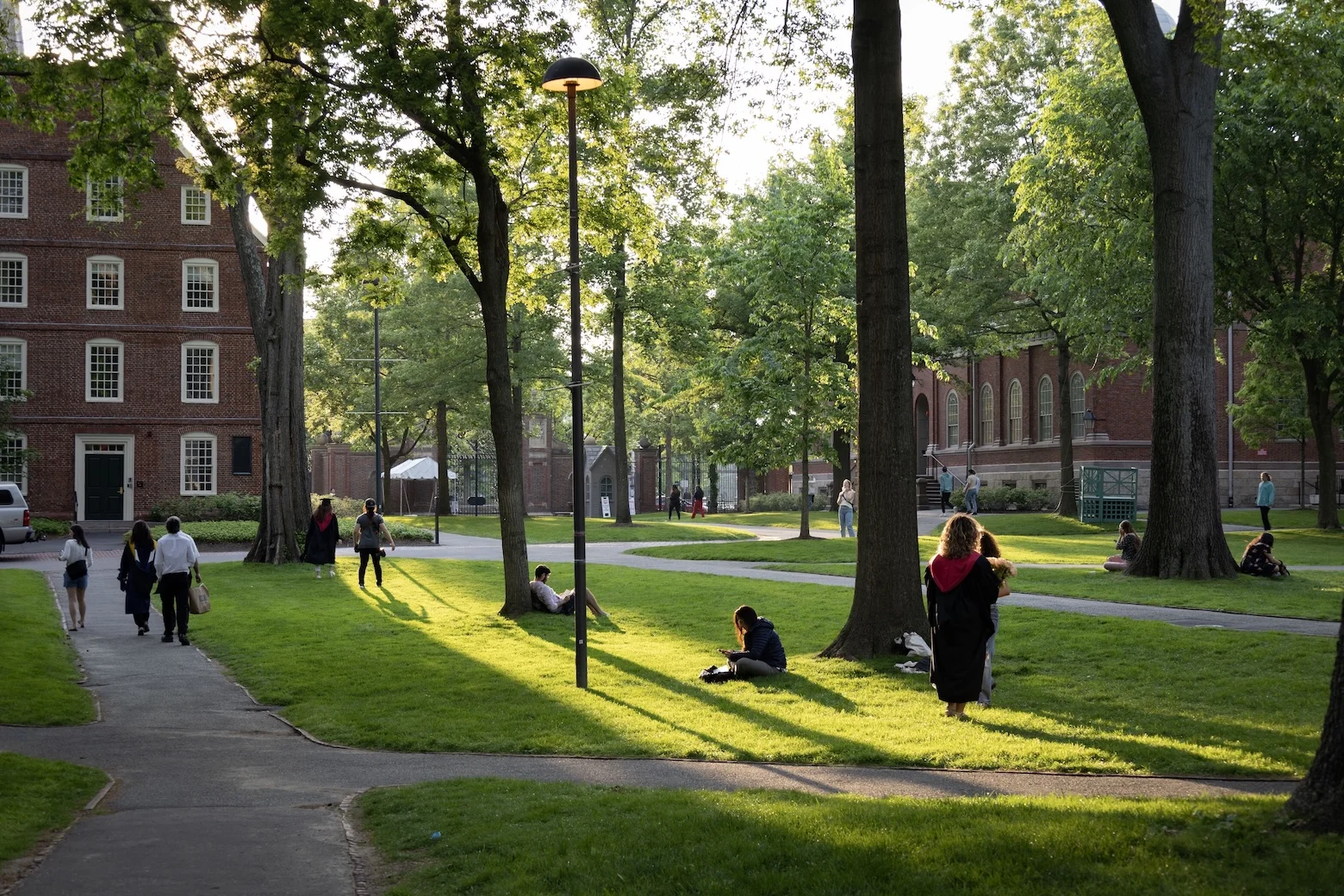 Harvard Yard before graduation
